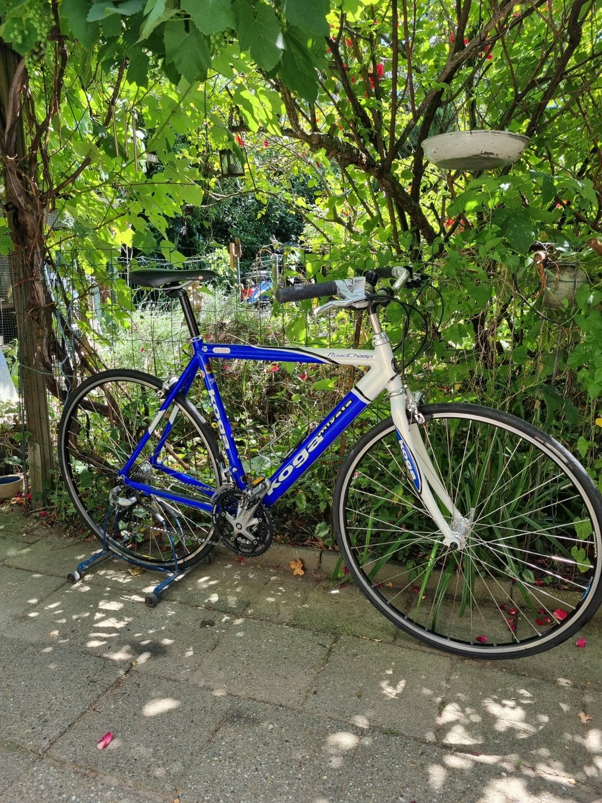 Koga Miyata Herenfiets - Maat 54, 3x9 Shimano, 53 tot 57 cm, Ophalen, Meer dan 20 versnellingen, Koga Miyata