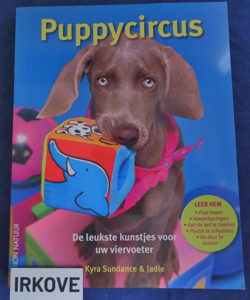 PUPPYCIRCUS * Kyra Sundance & Jadie *, Verzenden, Zo goed als nieuw, Honden, Kyra Sundance & Jadie