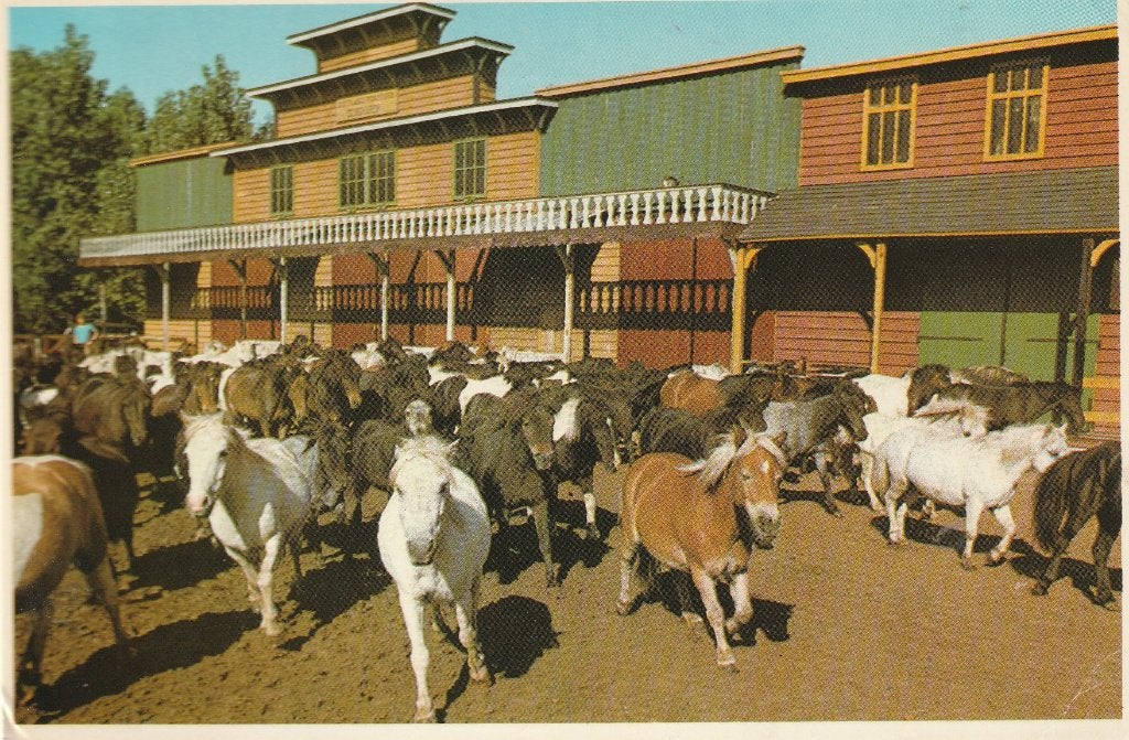 Shetland Ponypark Slagharen 1979, Ophalen of Verzenden, 1960 tot 1980, Gelopen, Overijssel