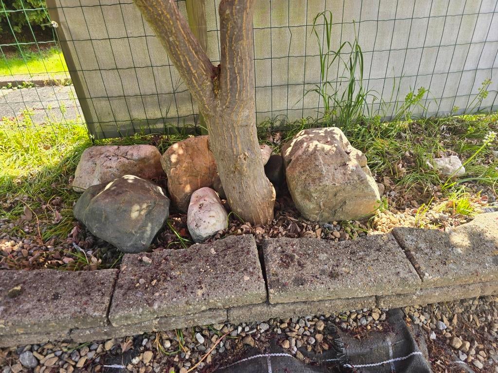 Gratis maaskeien in verschillende formaten, Tuin en Terras, Ophalen, Gebruikt
