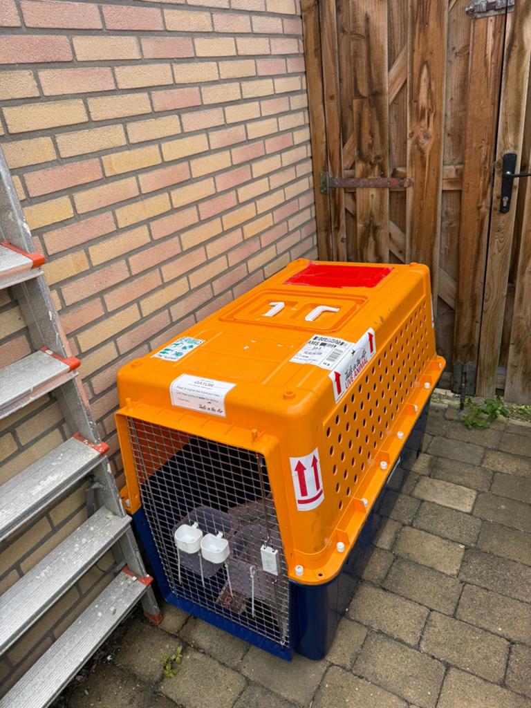 Honden Transport box vliegtuig IATA goedgekeurd 1x gebruikt, Ophalen, Nieuw