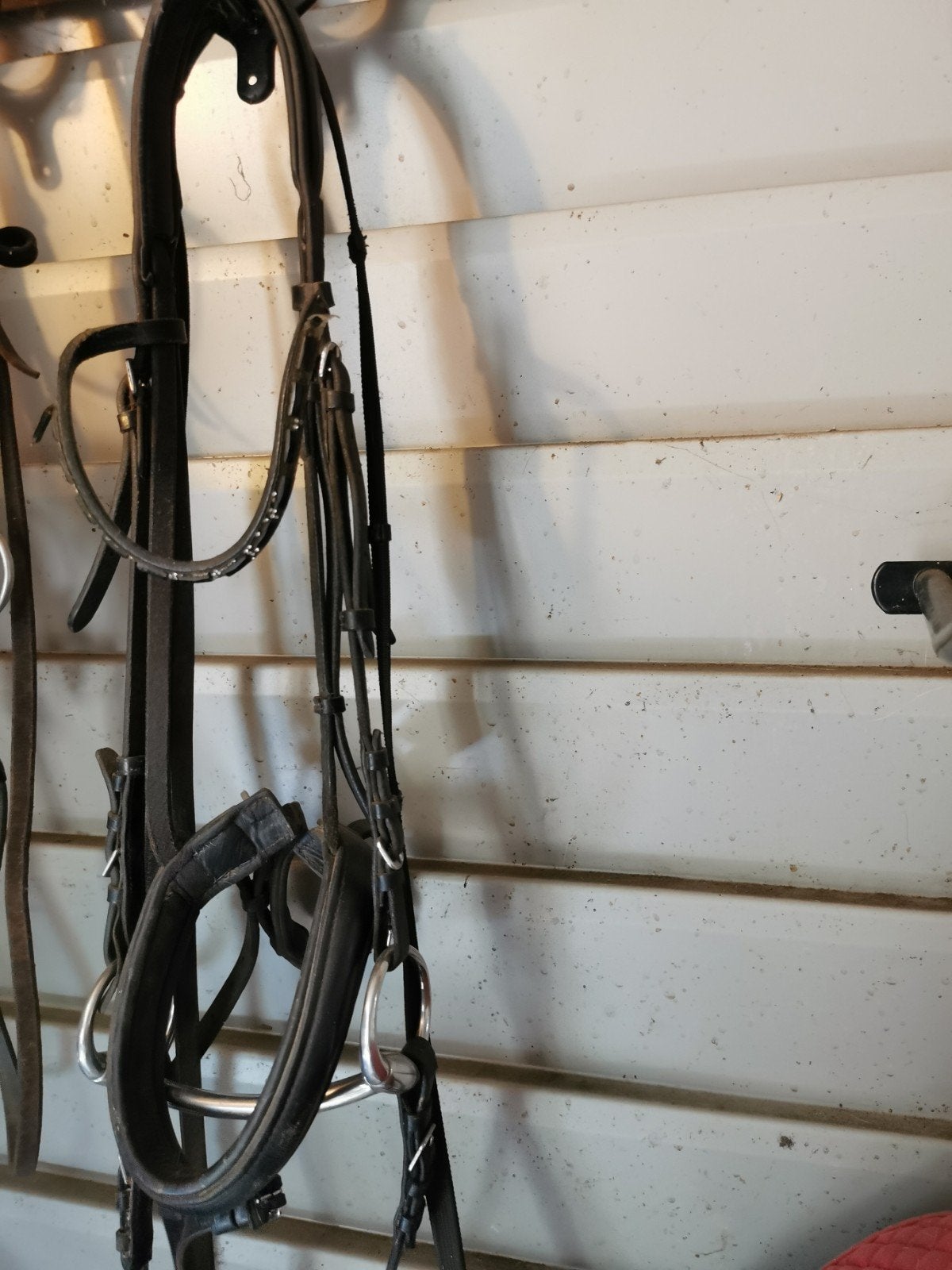Hoofdstel maat full, Ophalen of Verzenden, Dressuur
