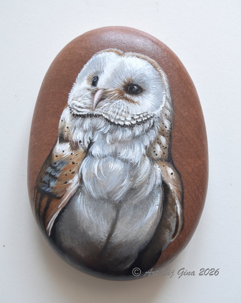 Portret van een kerkuil hand geschilderd op een mooie steen, Ophalen of Verzenden