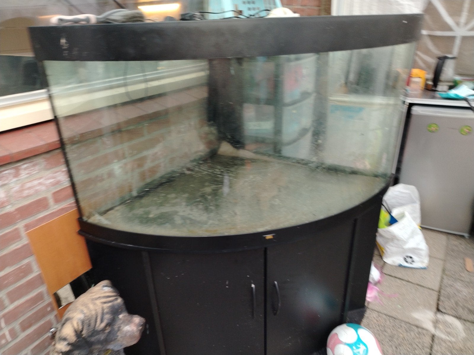 goed onderhouden hoekaquarium Juwel, Dieren en Toebehoren, Vissen | Aquariumvissen, Vis, Zoetwatervis