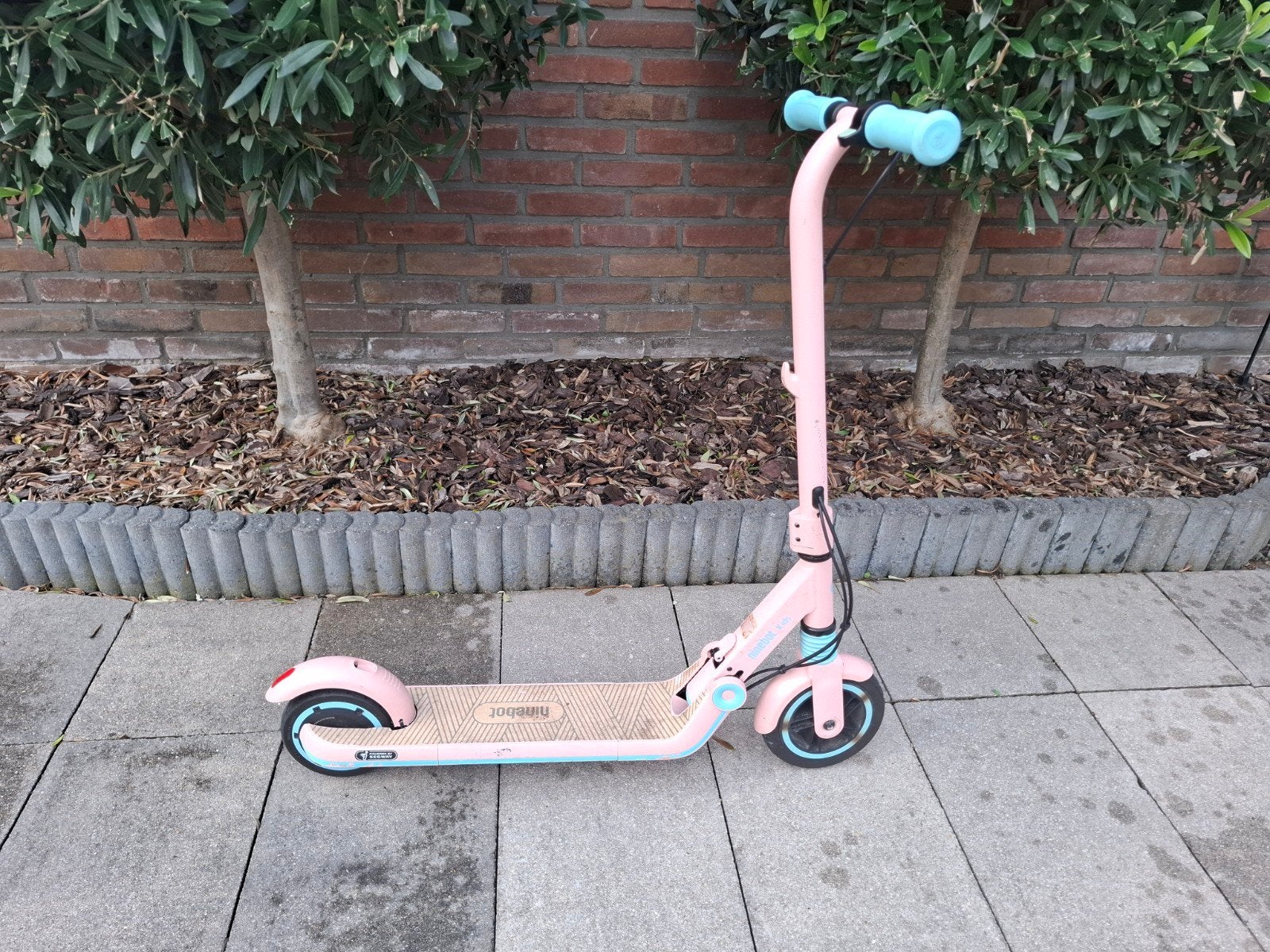 Ninebot Kids elektrische step, Fietsen en Brommers, Steps, Ophalen, Gebruikt, Elektrische step (E-scooter), Ninebot