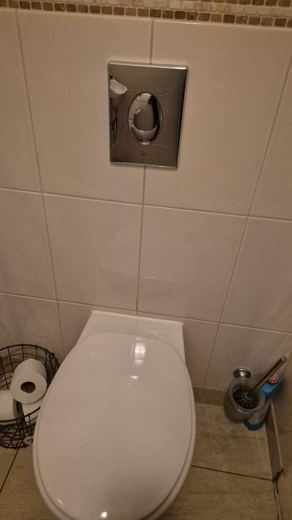 Toilet inbouwreservoir, Ophalen, Gebruikt, Chroom, Toilet