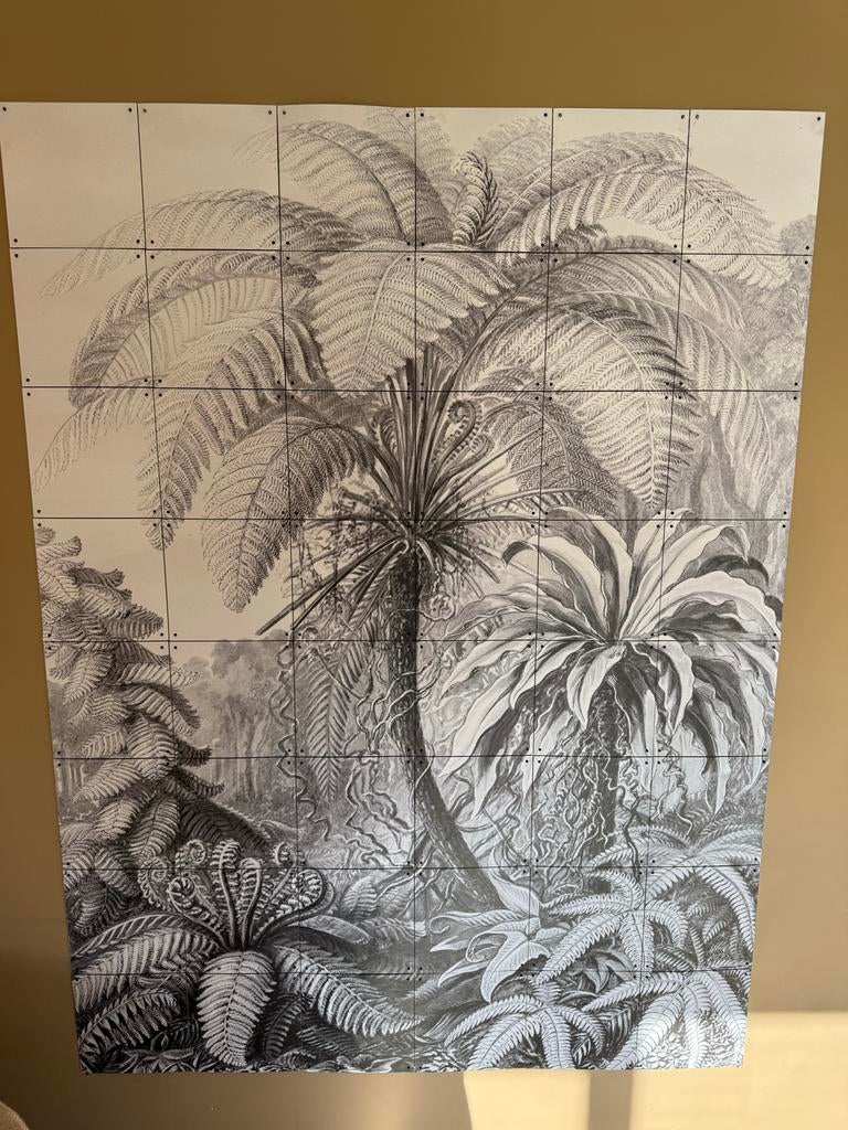 IXXI Ferns Jungle Muurdecoratie - 160x120, Ophalen, 10 tot 25 m², Zwart