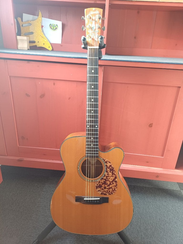 Top gitaren: Blueridge Mountain BlueBell Ibanez meer, Muziek en Instrumenten, Ophalen of Verzenden, Gebruikt, Western- of Steelstringgitaar