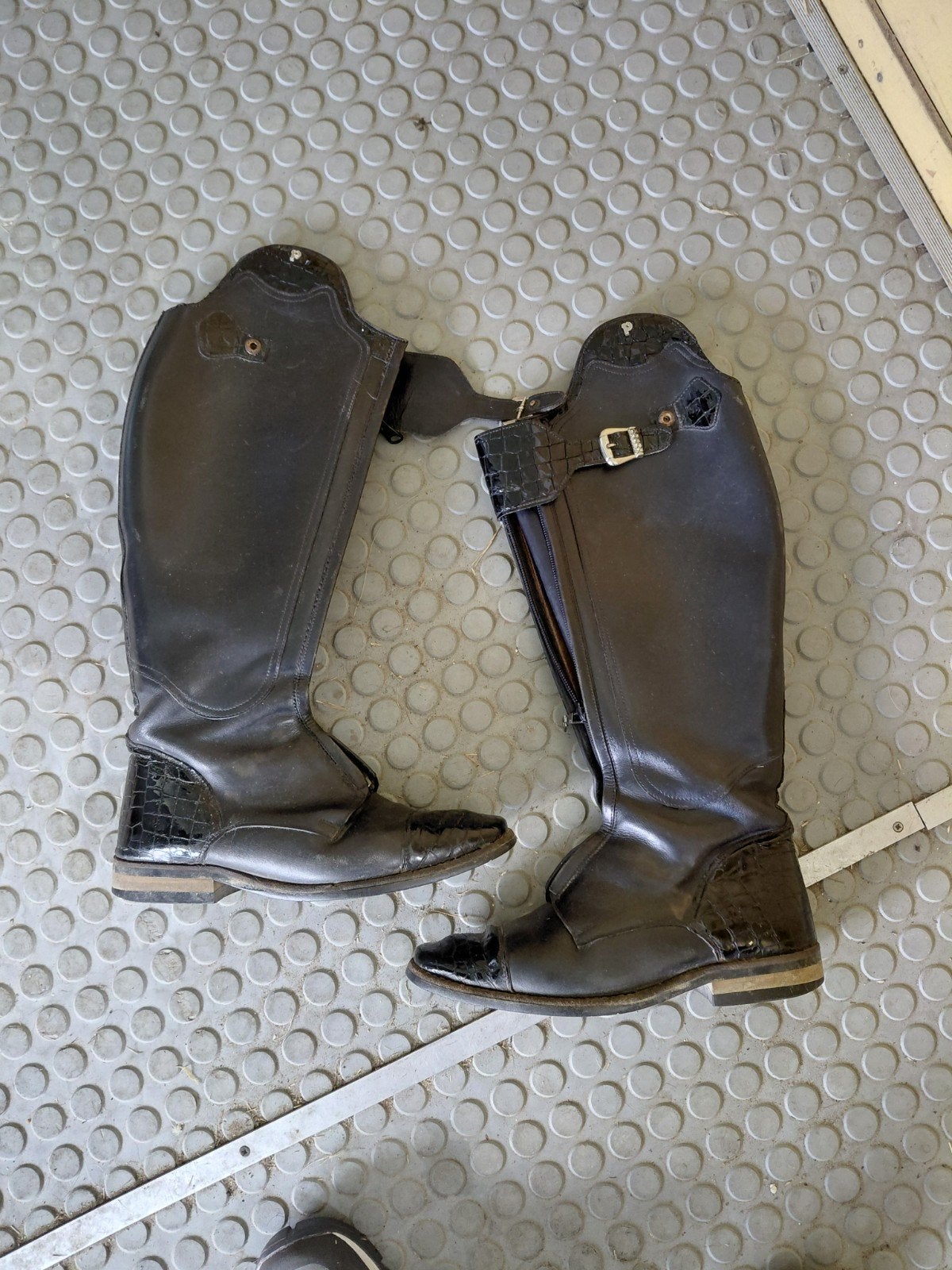 paardrijlaarzen, Dieren en Toebehoren, Paardrijkleding, Ophalen of Verzenden, Dressuur, Schoeisel