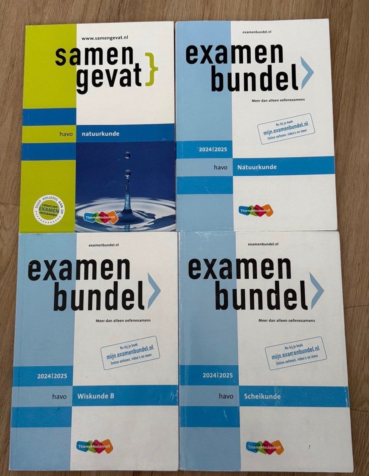Examenbundels en Samengevat HAVO Na, Wis B en SK, Boeken, Schoolboeken, Ophalen of Verzenden, Gelezen, HAVO, Overige vakken
