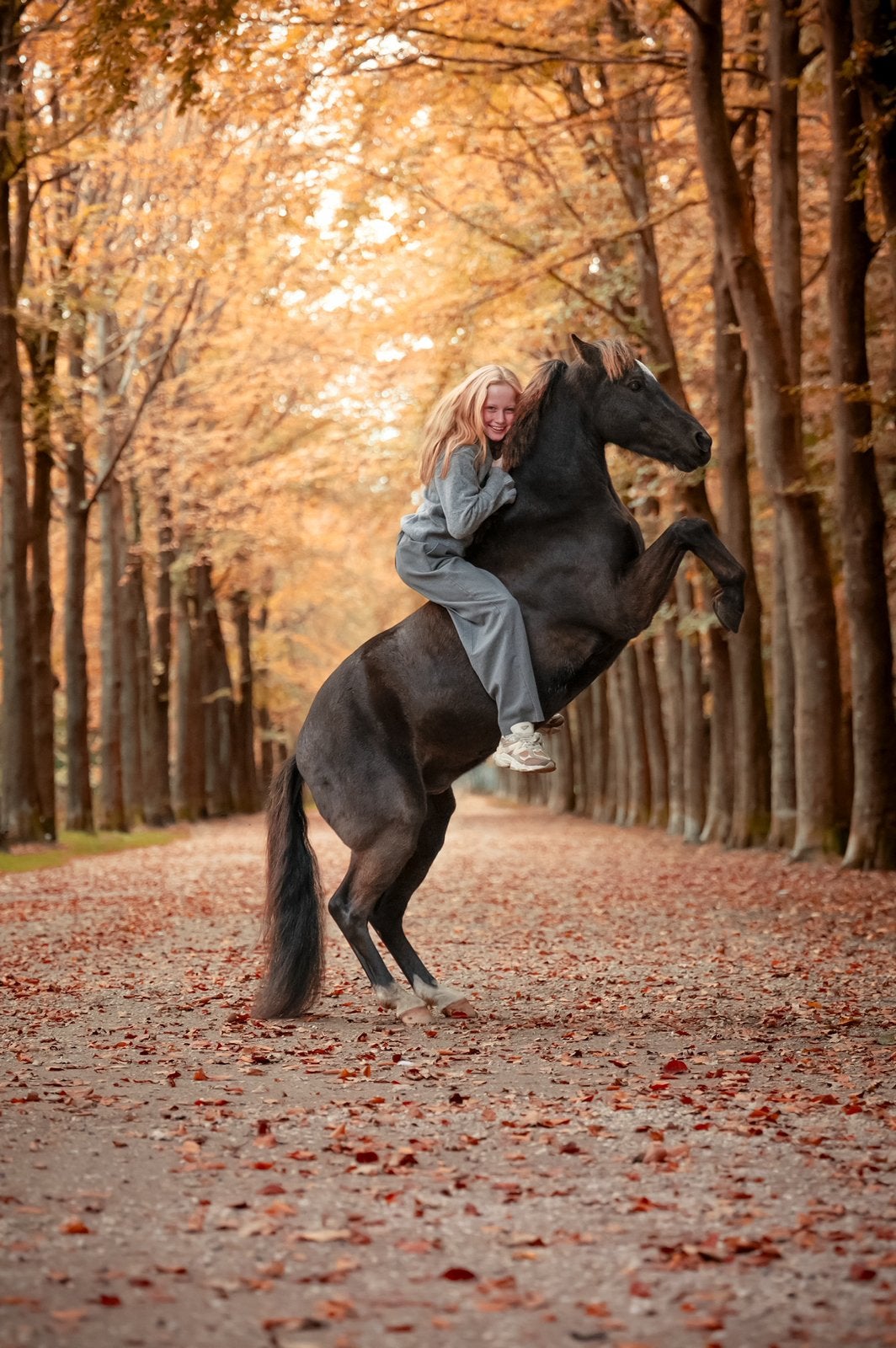 B spring pony, Dieren en Toebehoren, Gechipt, Ruin, Springpony, 7 tot 10 jaar