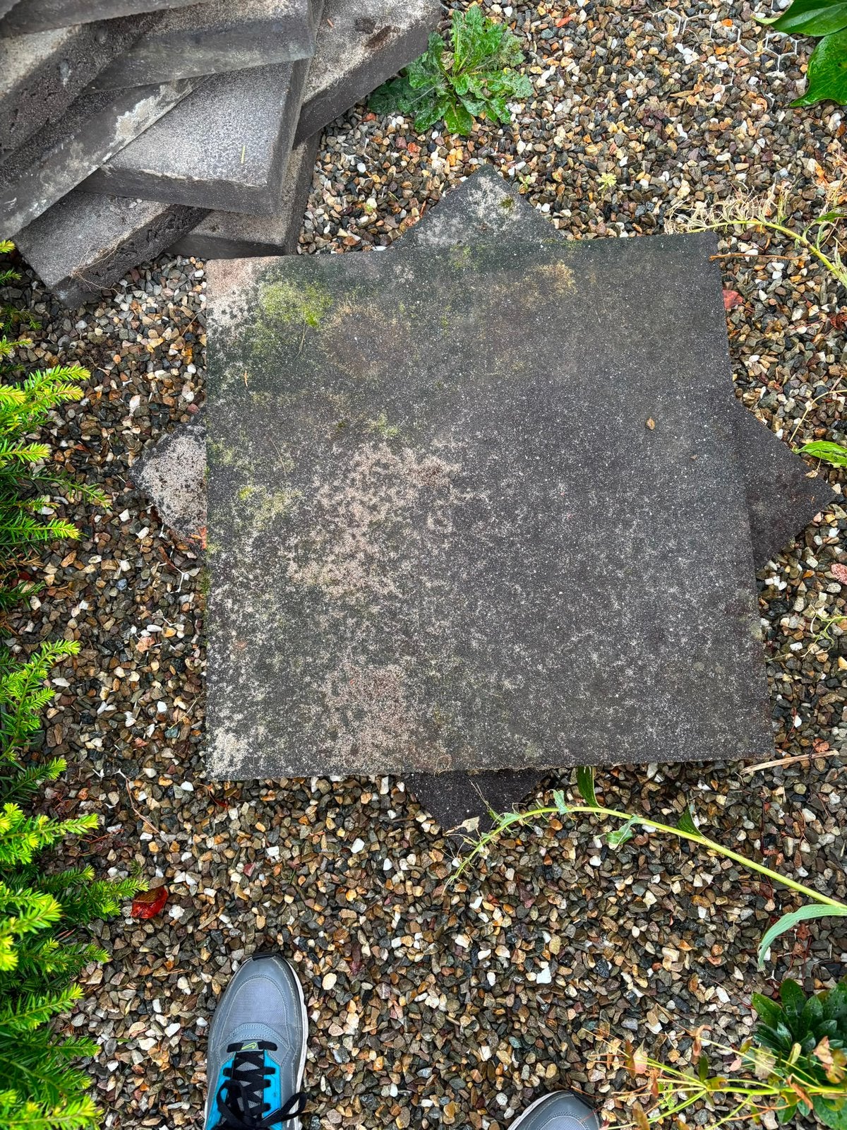 Gratis 23 x 60 x 60 betontegels donker grijs, Tuin en Terras, Ophalen, Gebruikt, Beton, Terrastegels