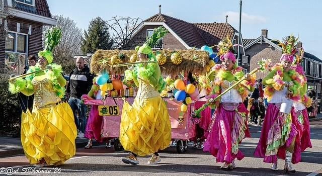 Tropical outfits, Ophalen, Carnaval, Maat 42/44 (L), Kleding