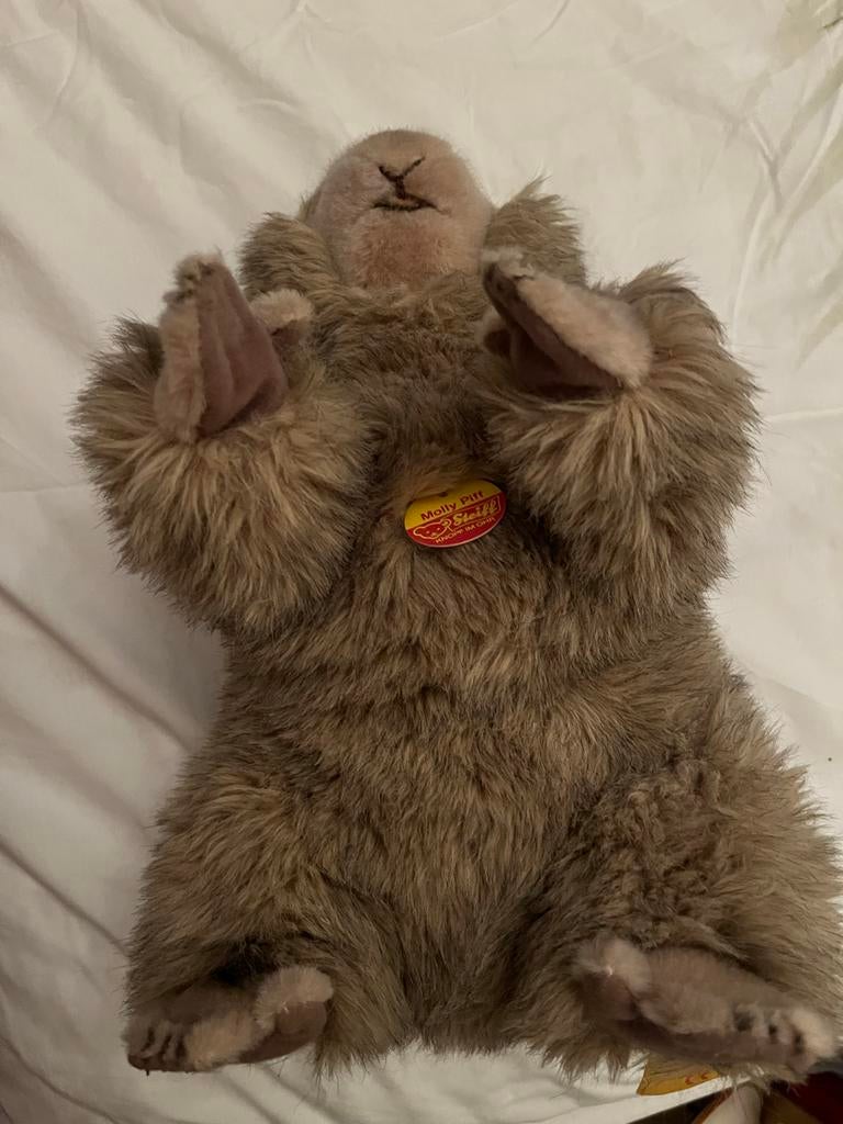 Steiff Molly Pitt knuffel -, Ophalen of Verzenden, Nieuw