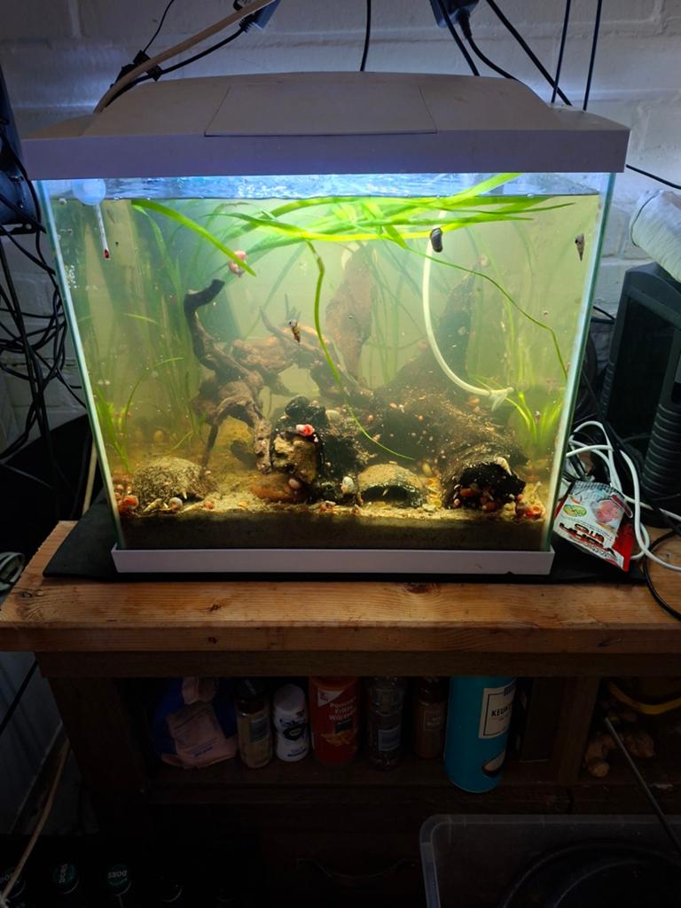 45 liter aquarium van superfish, Dieren en Toebehoren, Vissen | Aquaria en Toebehoren, Ophalen of Verzenden