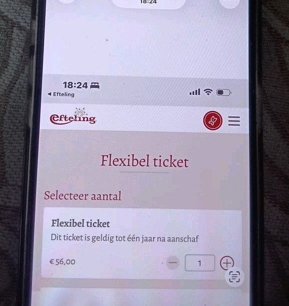 Efteling Flexibel Ticket - Geldig tot 1 jaar na aankoop, Ophalen of Verzenden, Nieuw, Overige typen