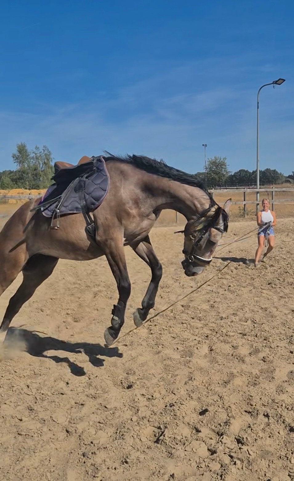 Paarden zadelmak maken