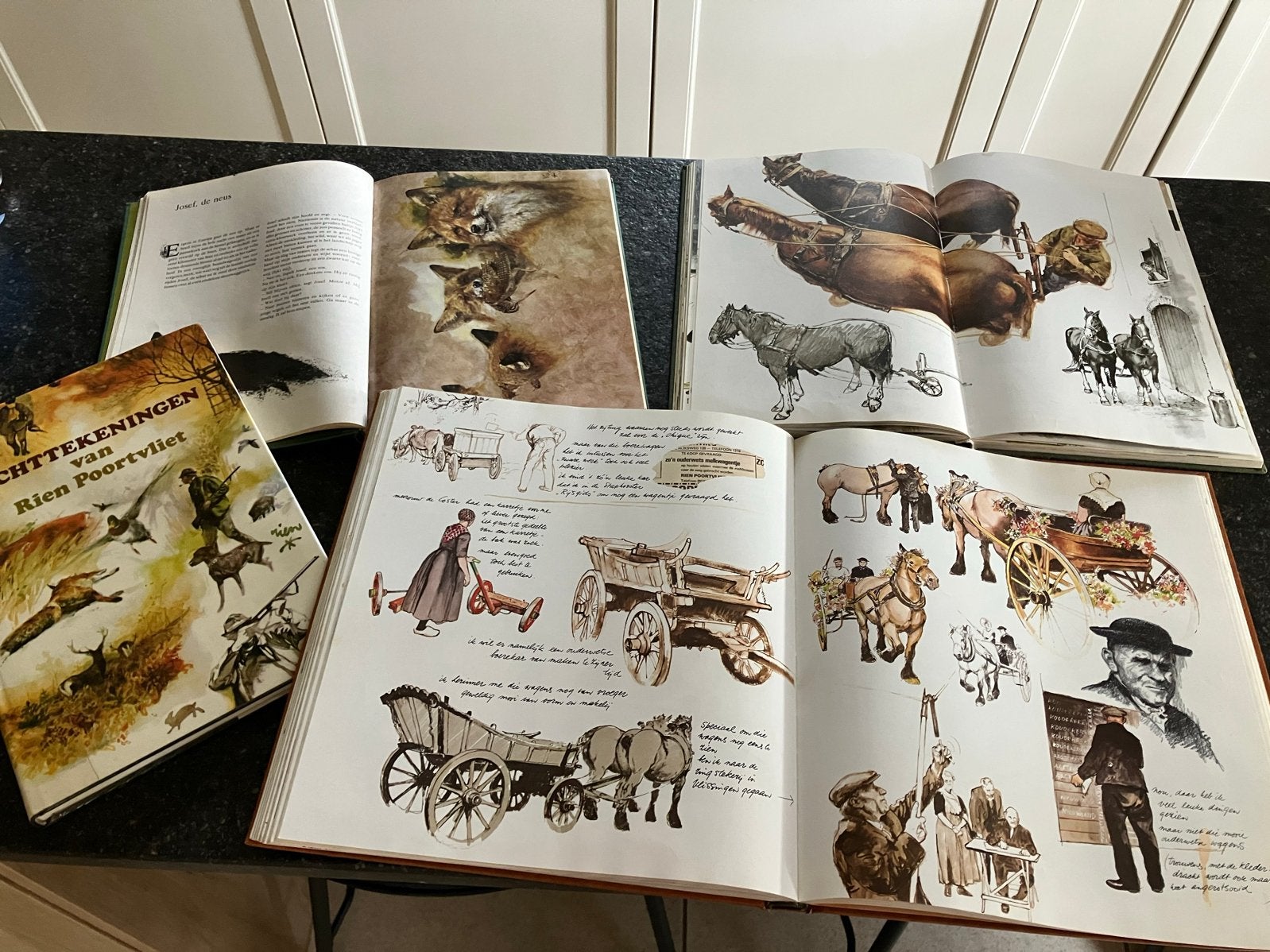 Rien Poortvliet Boeken - 4 Stuks, Ophalen, Gelezen, Natuur algemeen