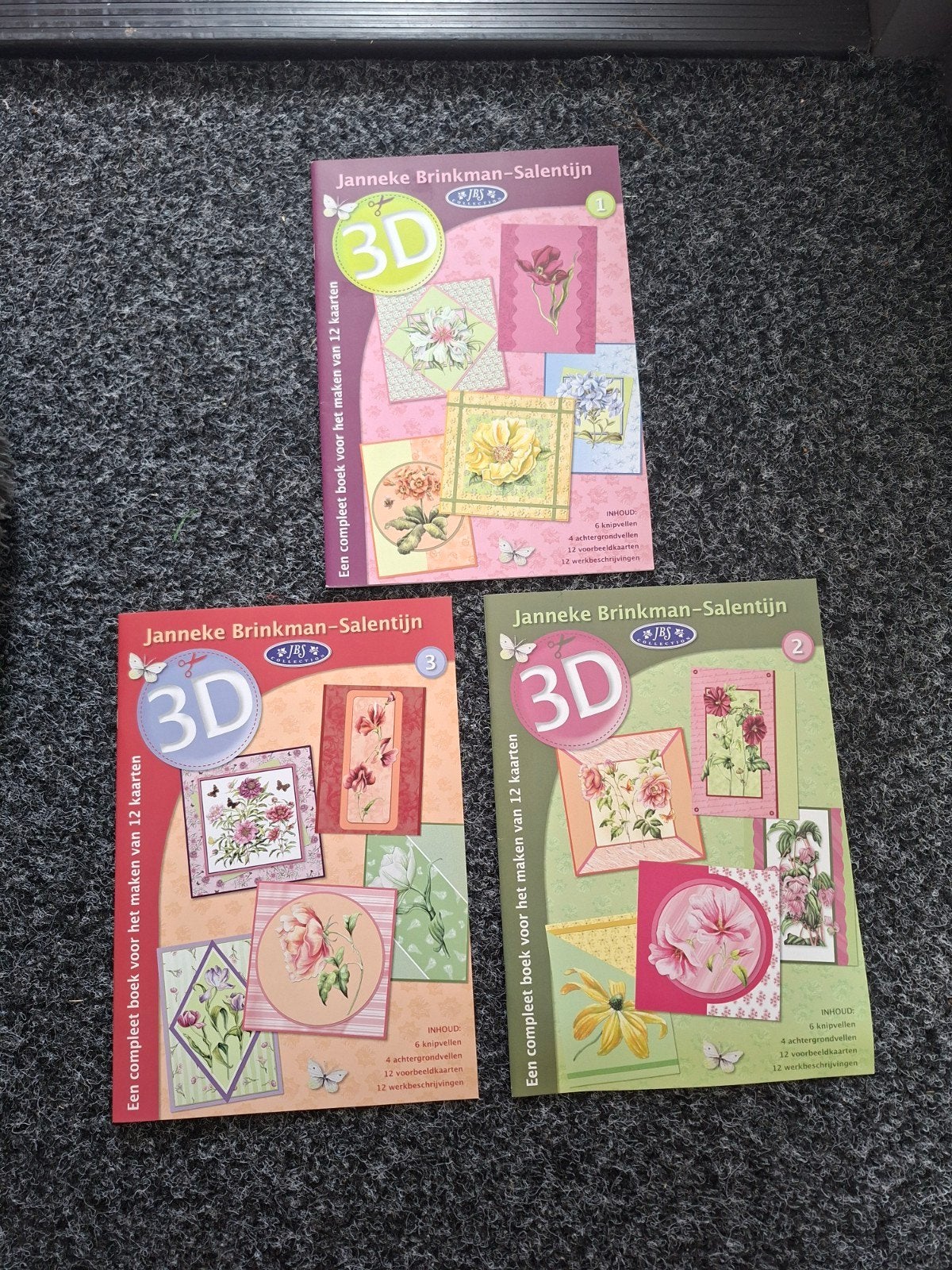Janneke Brinkman-Salentijn 3D knipvellen boeken (3 stuks), Ophalen of Verzenden, Zo goed als nieuw, Natuur, Knipvel