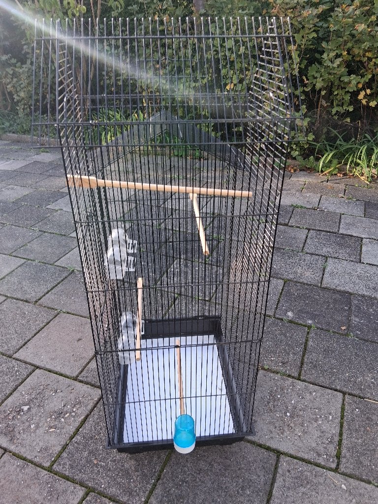 Vogelkooi, Ophalen, Zo goed als nieuw, Metaal, Vogelkooi