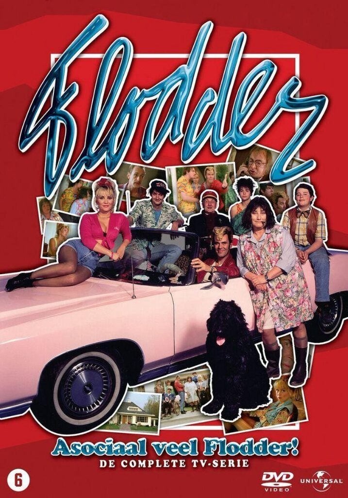 Flodder De Complete TV-Serie (10xDVD BOX) Dick Maas ZGAN!, Zo goed als nieuw, Komedie, Complete serie, Alle leeftijden