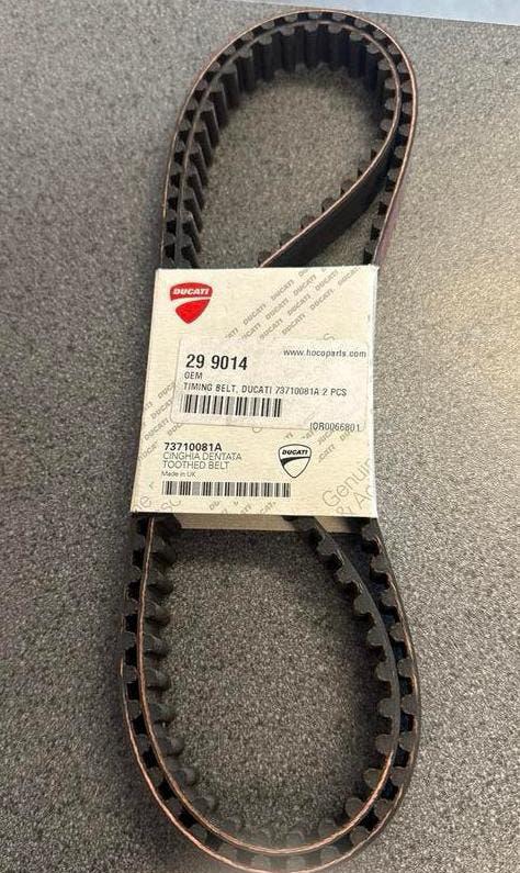 Timing belt , distributieriem Ducati en cagiva, Ophalen of Verzenden, Nieuw