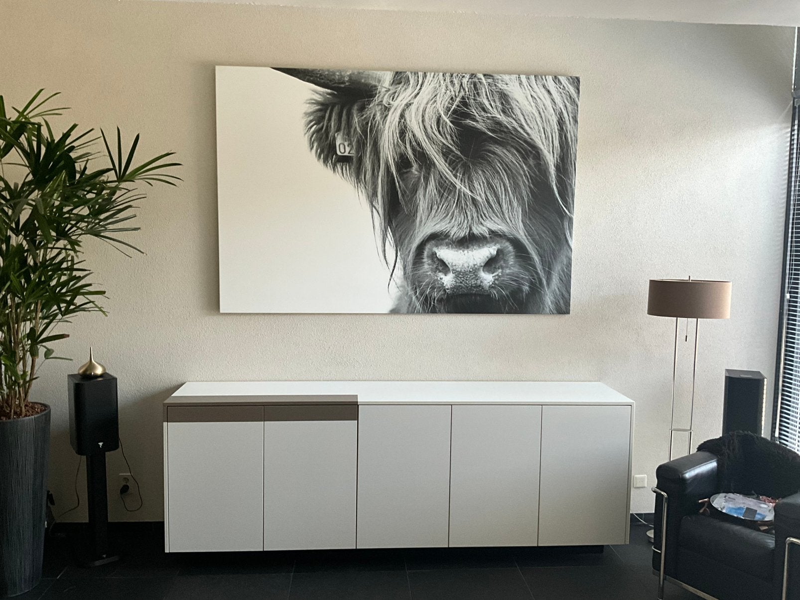 Portret Schotse hooglander zwart/wit, Ophalen, Zo goed als nieuw, Foto of Poster