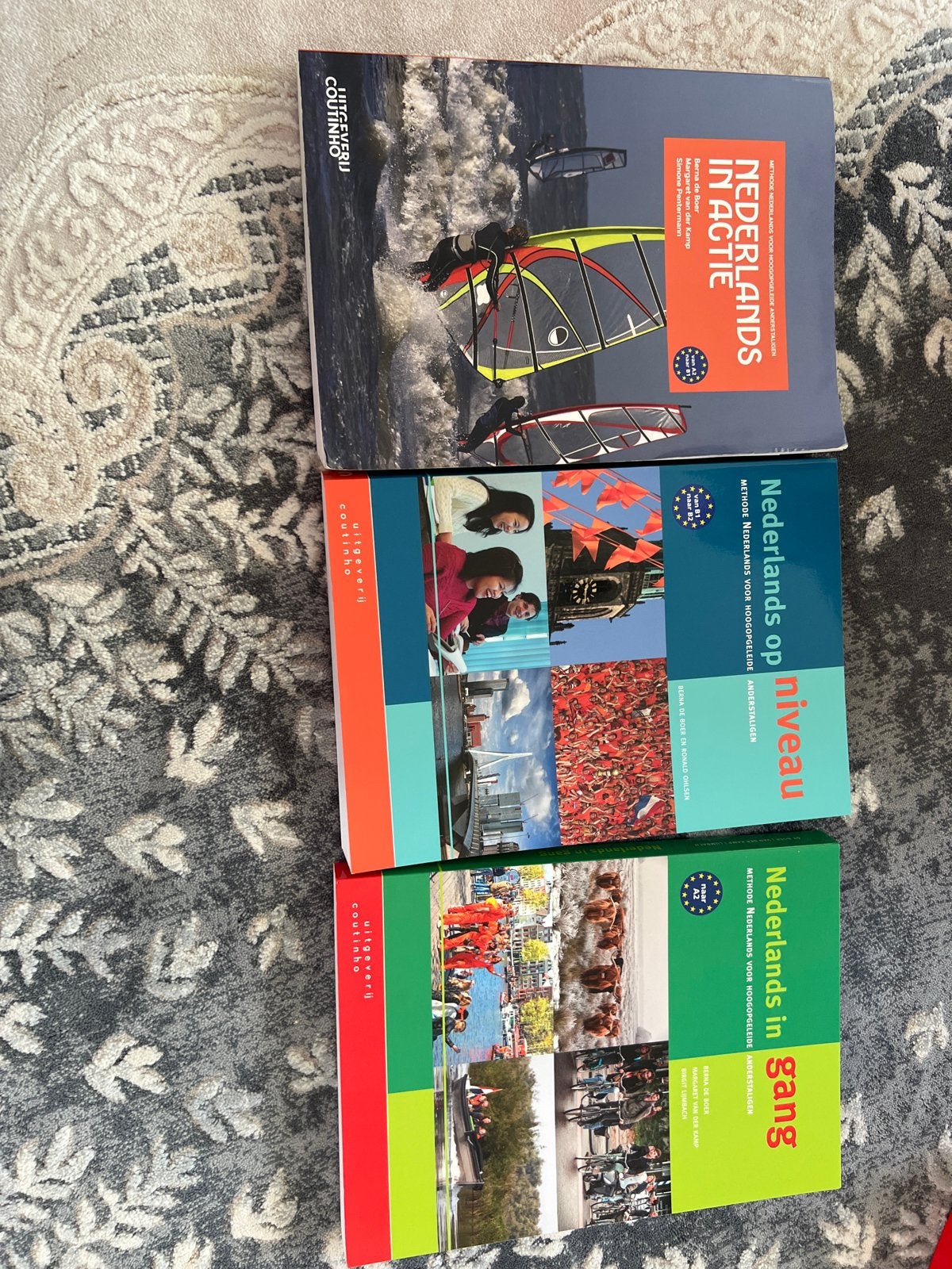 Nederlands in actie, op niveau, in gang - Studieboeken, Boeken, Ophalen of Verzenden, Alpha, Zo goed als nieuw, Overige niveaus