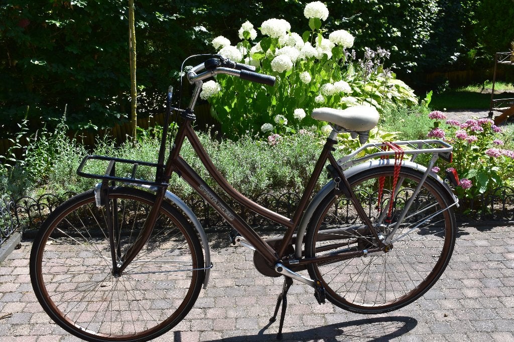 damesfiets Sparta Pickup, Ophalen, Terugtraprem, Sparta, Gebruikt