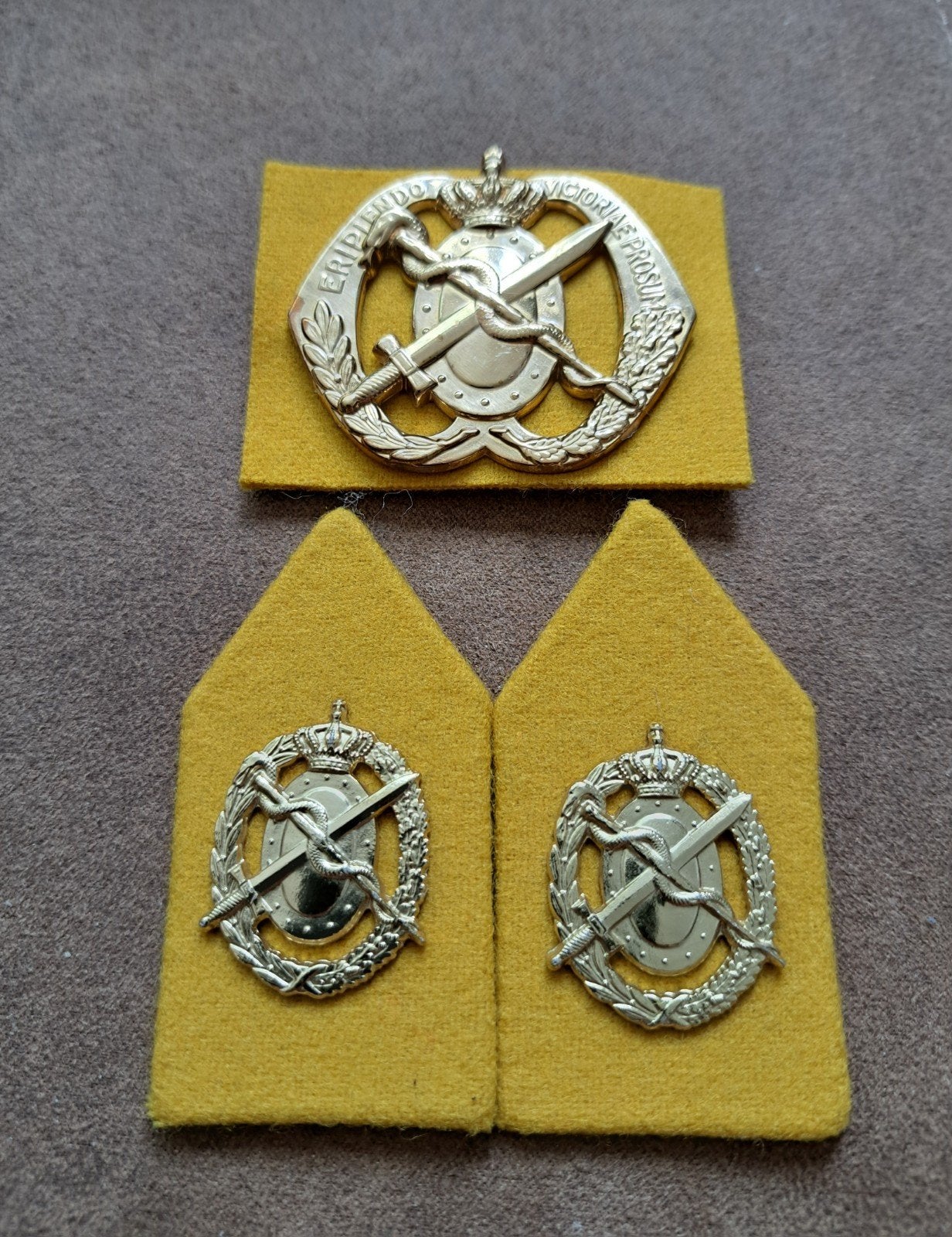 Oude set emblemen Geneeskunde dienst baret en kraagspiegels, Ophalen of Verzenden, Landmacht, Nederland, Embleem of Badge