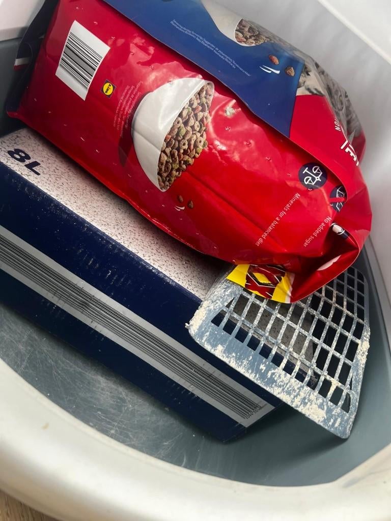 Kattenspullen te koop – in goede staat, Geslacht onbekend