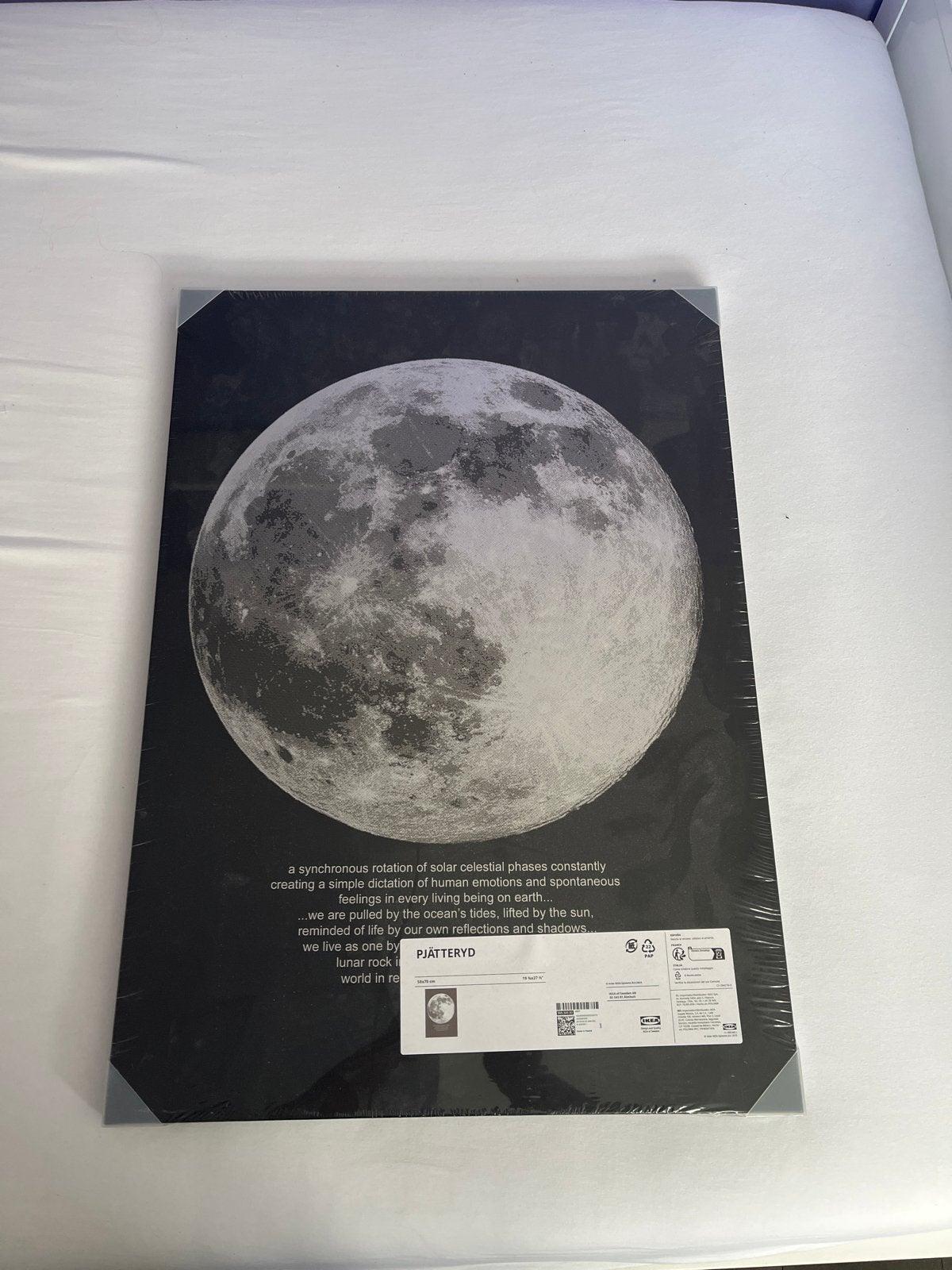 IKEA PJÄTTERYD Maan Poster - Nieuw in verpakking, Nieuw, Ophalen of Verzenden, Foto of Poster, 75 – 100