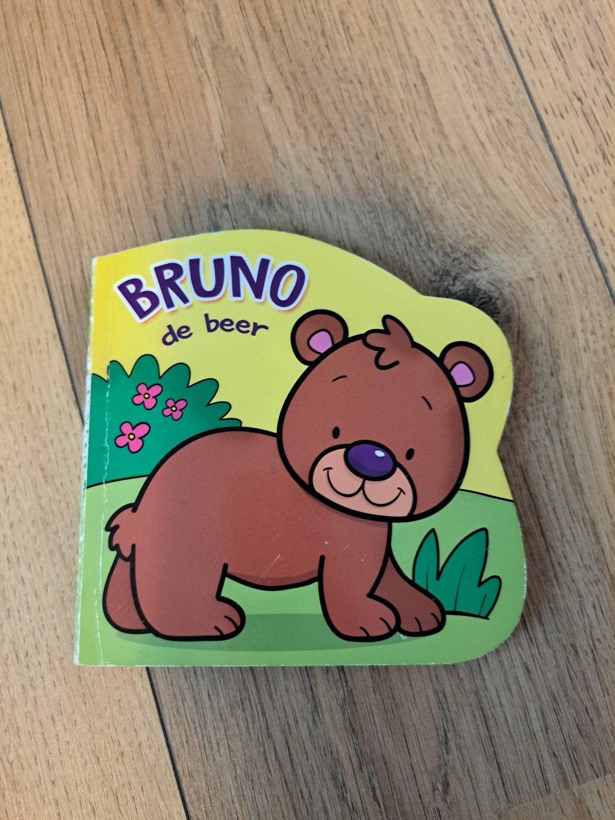 Bruno de Beer - Kartonboekje voor peuters, Boeken, Ophalen of Verzenden, Gelezen, Gabriel Cortina, 0 tot 6 maanden