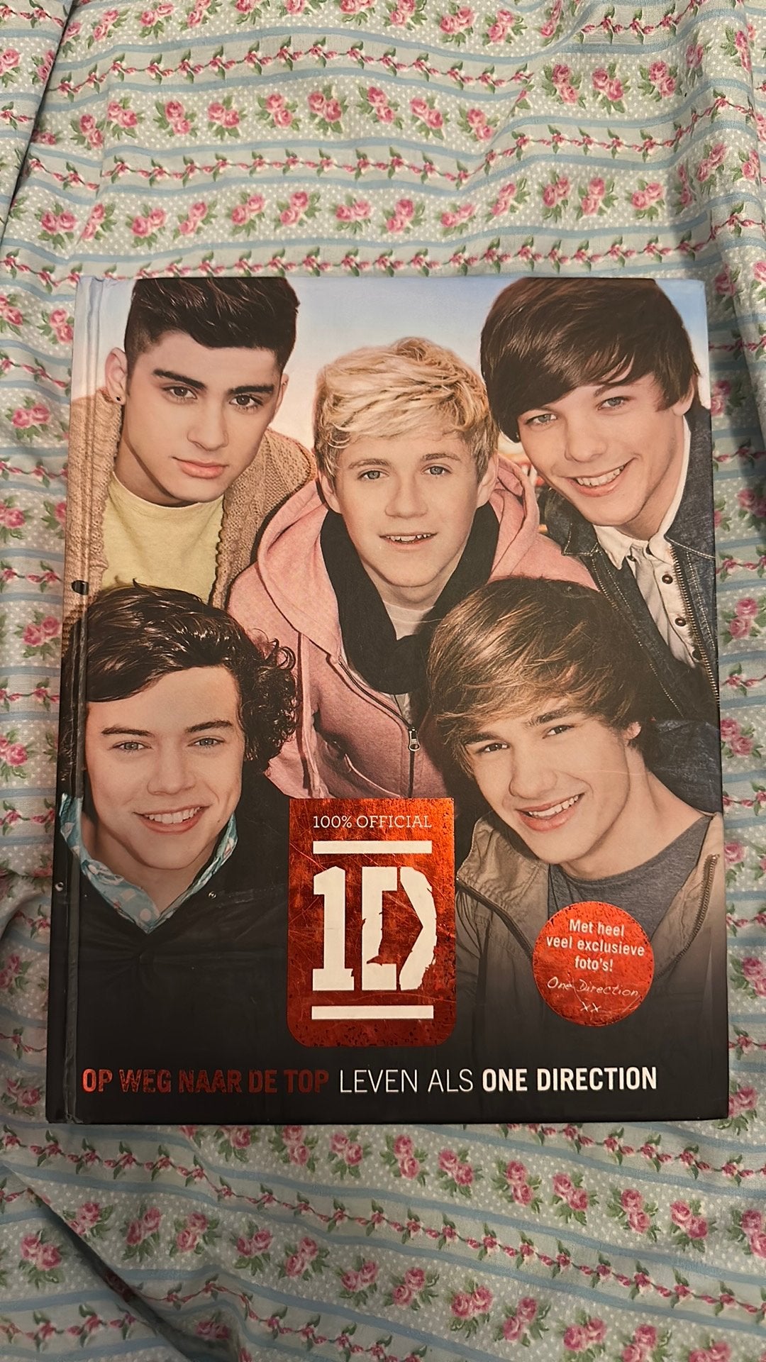 One direction en harry styles boek, Ophalen of Verzenden, Gelezen, Nederland