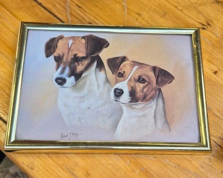 Schilderij Robert J May - Twee Jack Russells, Ophalen of Verzenden, Vintage, Achter glas, Dieren