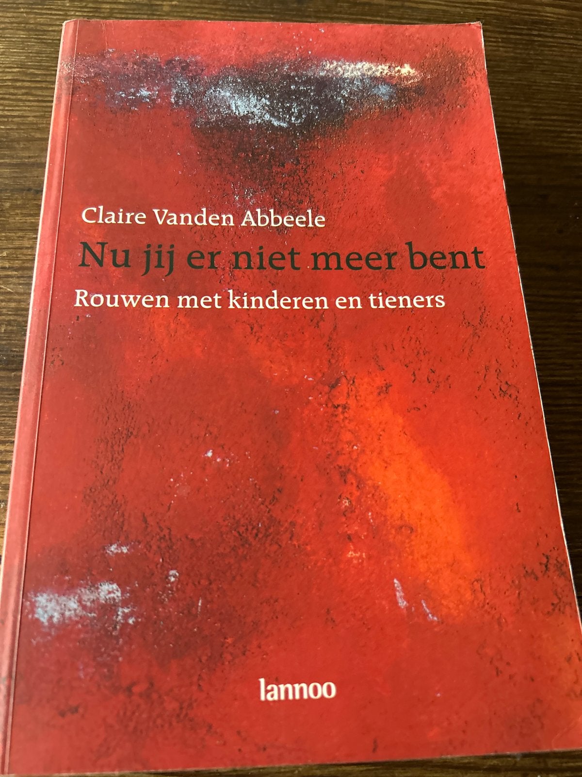 C. vanden Abbeele - Nu jij er niet meer bent, Ophalen of Verzenden, Zo goed als nieuw, C. vanden Abbeele