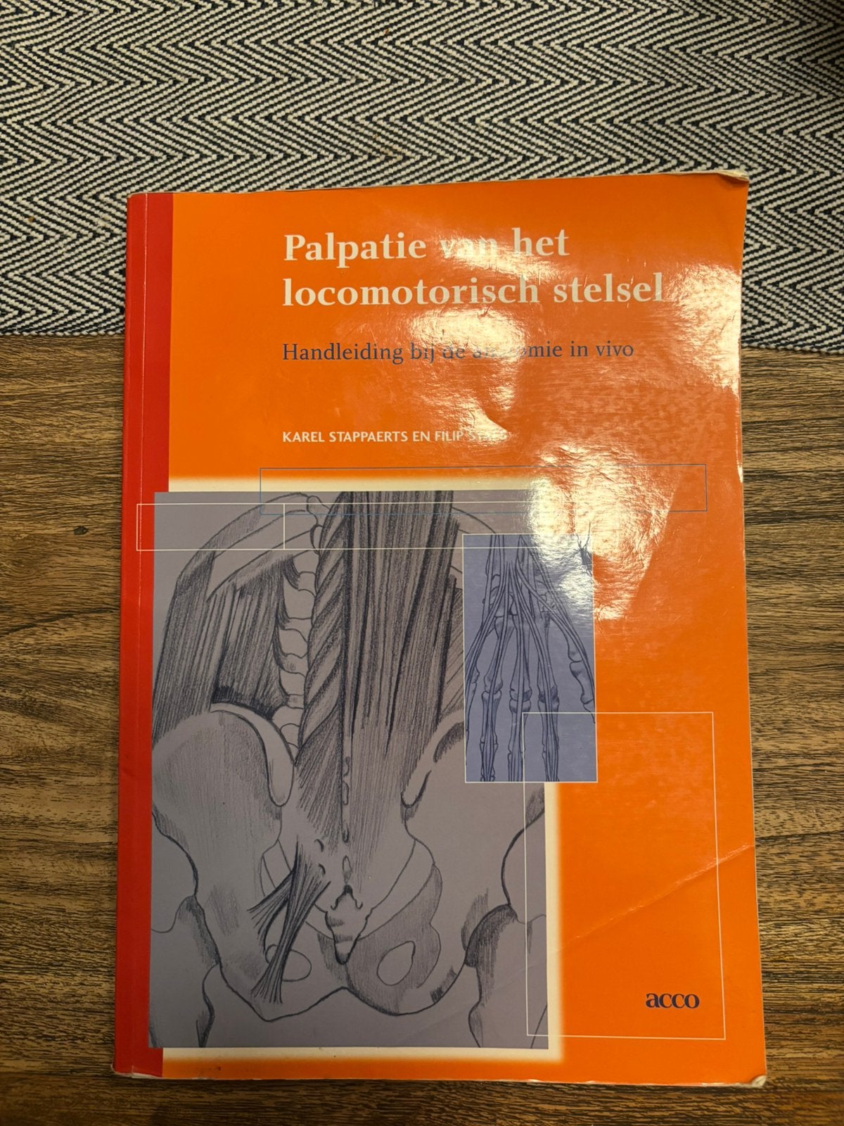 F. Staes - Palpatie van het locomotorisch stelsel, Boeken, Gelezen, F. Staes; K. Stappaerts, Ophalen of Verzenden, Natuurwetenschap
