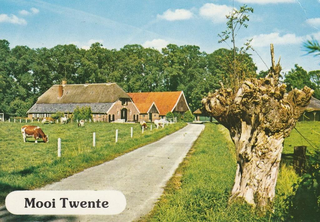 Ansichtkaart Mooi Twente, Ophalen of Verzenden, 1980 tot heden, Gelopen, Overijssel