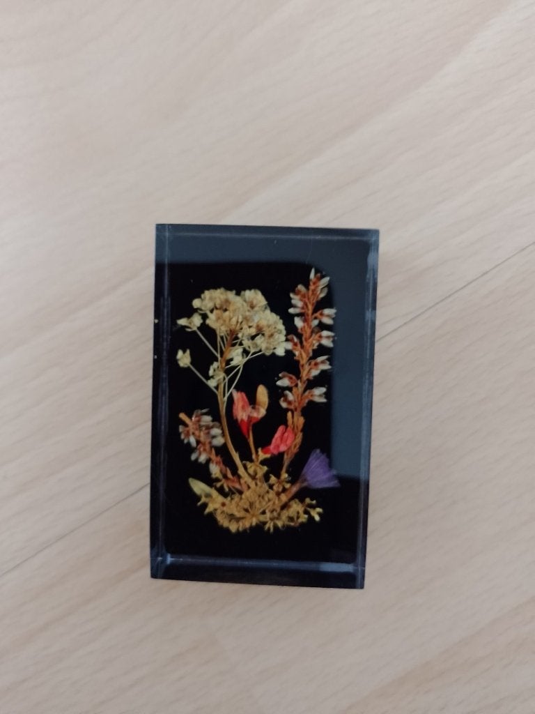 schilderijtje van glas met droogbloemen, Minder dan 50 cm, Ophalen of Verzenden, Zo goed als nieuw, Schilderij