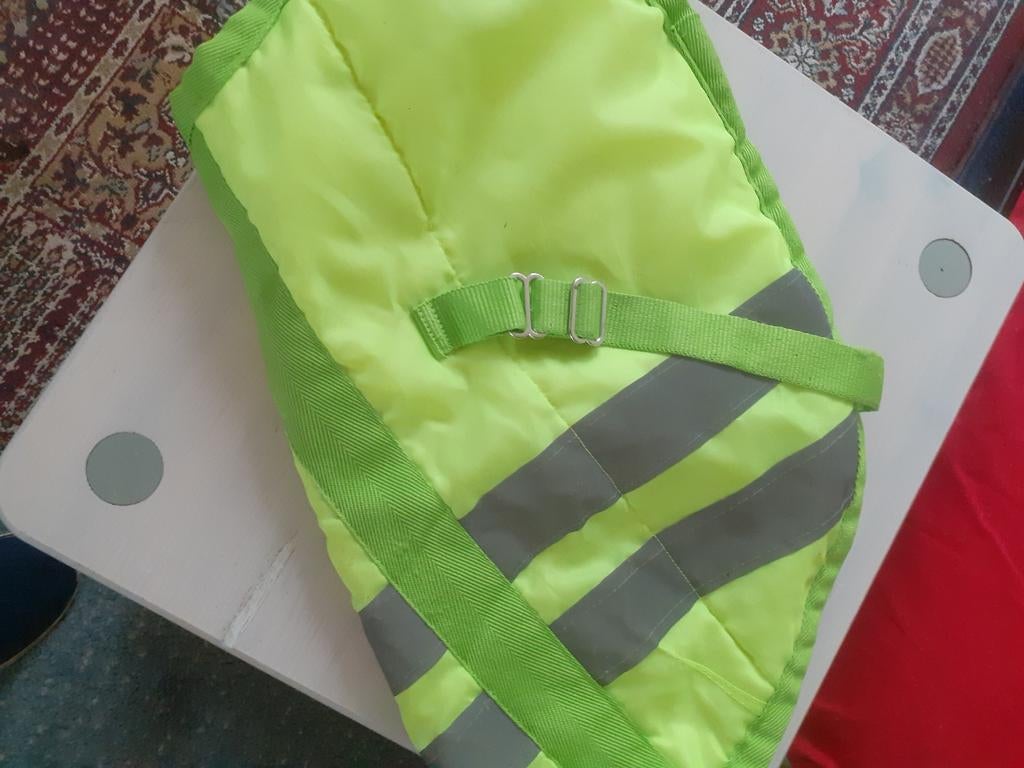 Jas hond met lichtstrepen, Ophalen, Zo goed als nieuw, Hondenjas