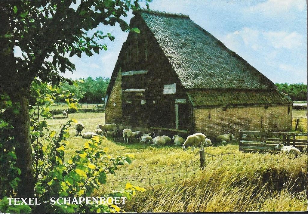 Kr2250 ansichtkaart texel schapenboet gelopen, Ophalen of Verzenden, 1980 tot heden, Gelopen, Waddeneilanden