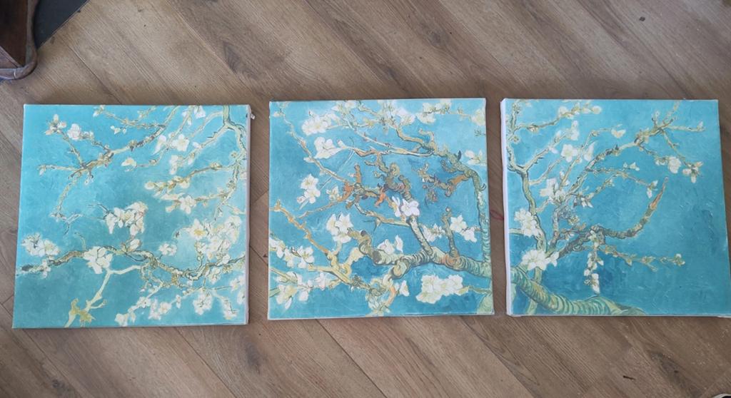 Set van 3 Van Gogh Amandelbloesem canvas schilderijen, Ophalen