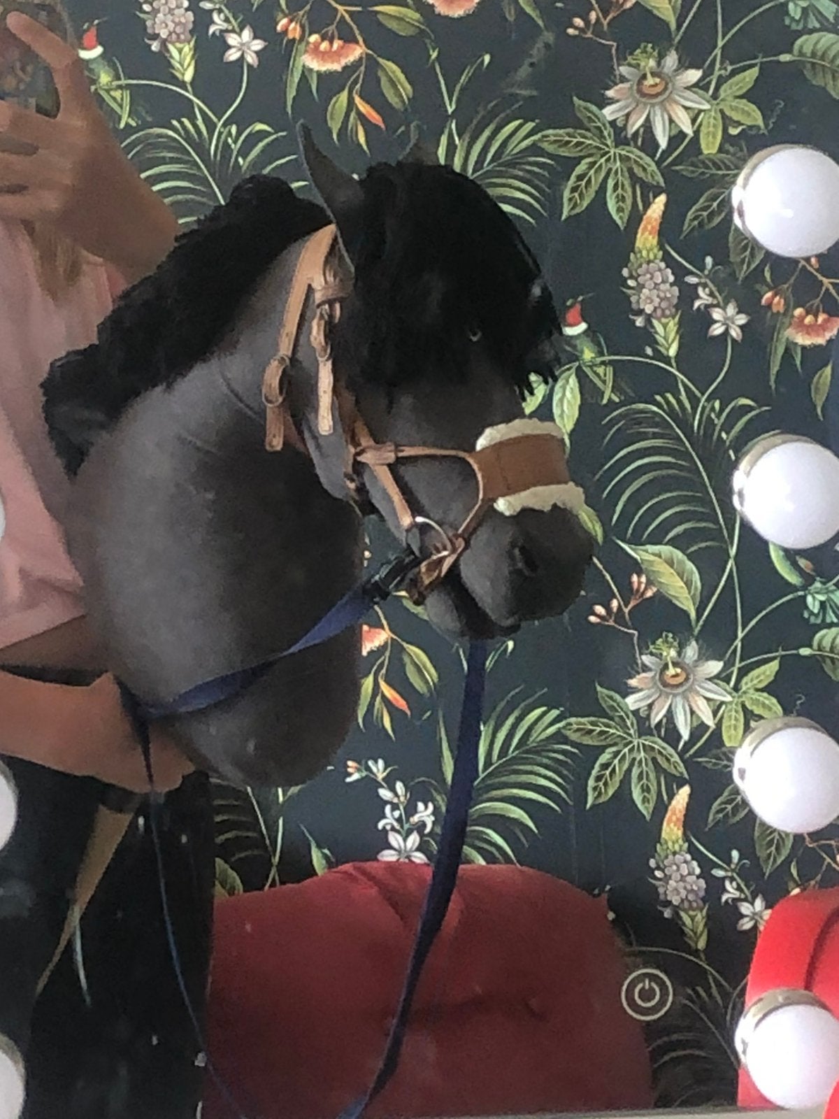 Hobbyhorse te koop, Dieren en Toebehoren, Ophalen of Verzenden, Zo goed als nieuw