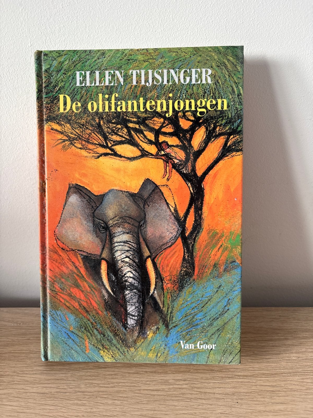 De olifantenjongen - Ellen Tijsinga, Ophalen of Verzenden, Gelezen, Fictie algemeen