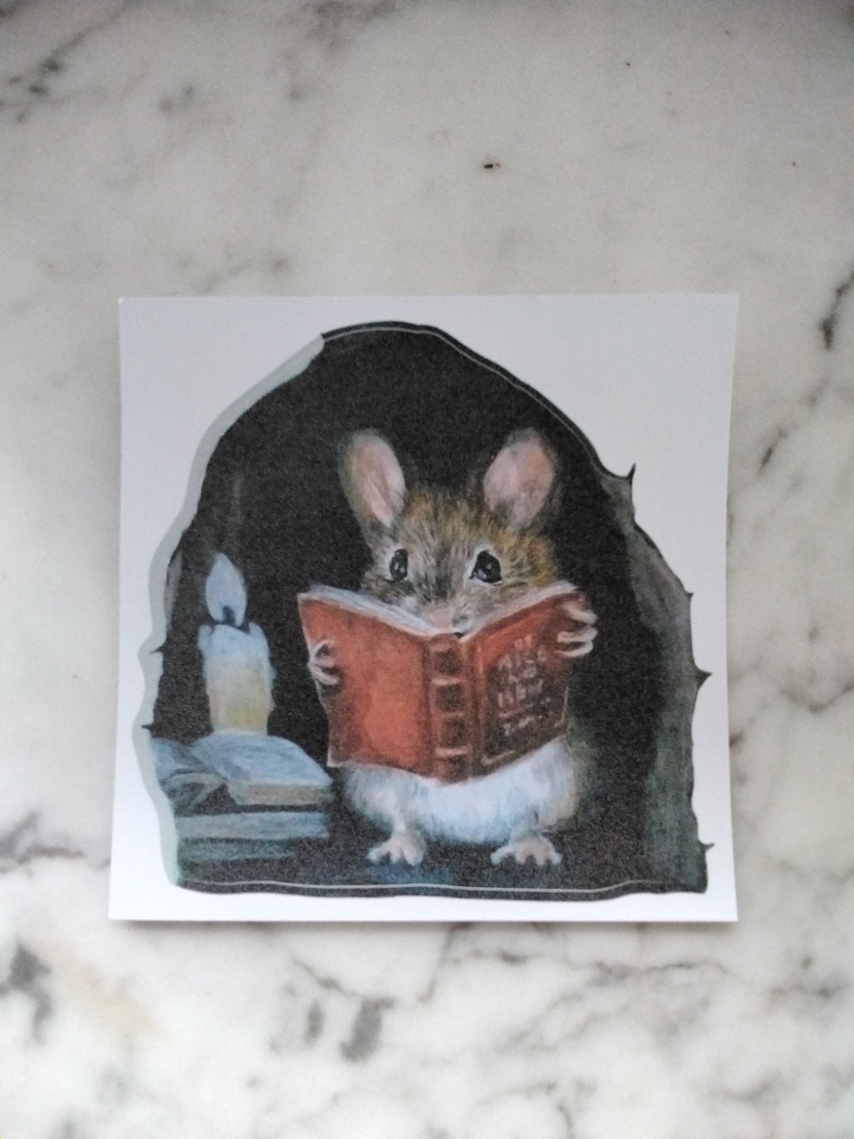 Muizenhuis plint sticker muis met boek, Verzenden, Nieuw, Wanddecoratie