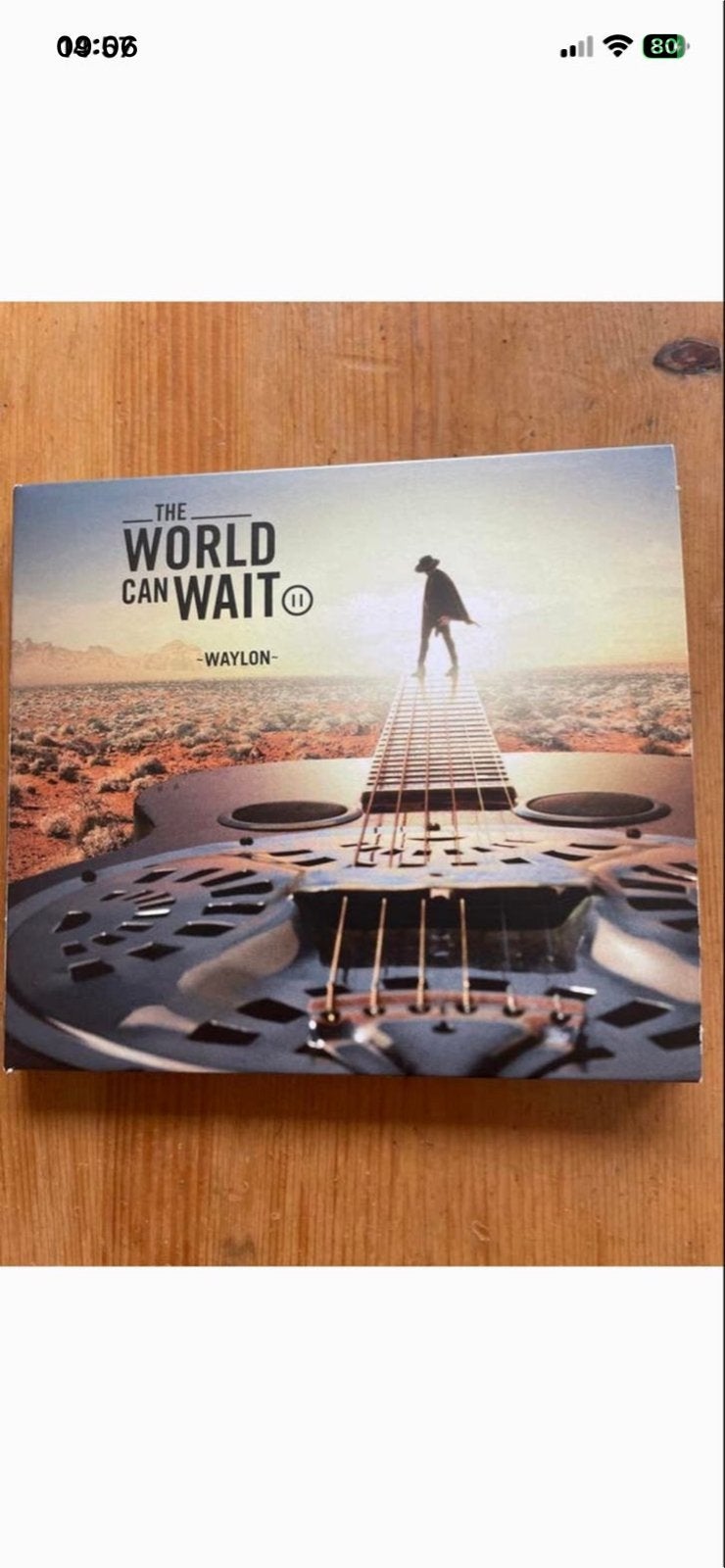 Waylon - The World Can Wait (CD), Cd's en Dvd's, Cd's | Pop, Zo goed als nieuw, Ophalen of Verzenden