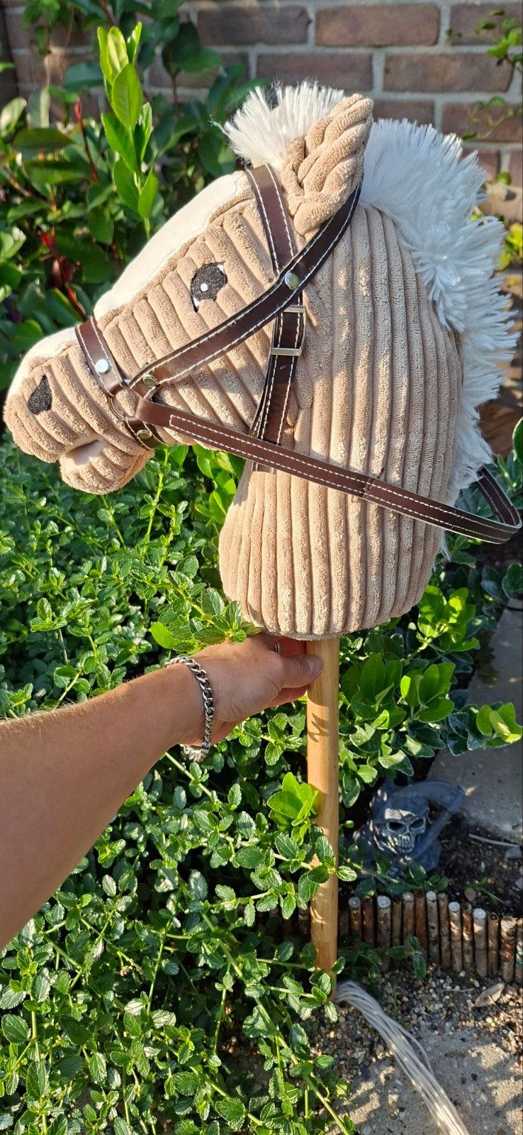 Houten stokpaard/ hobbyhorse met zachte pluche kop, Ophalen, Zo goed als nieuw, Jongen of Meisje