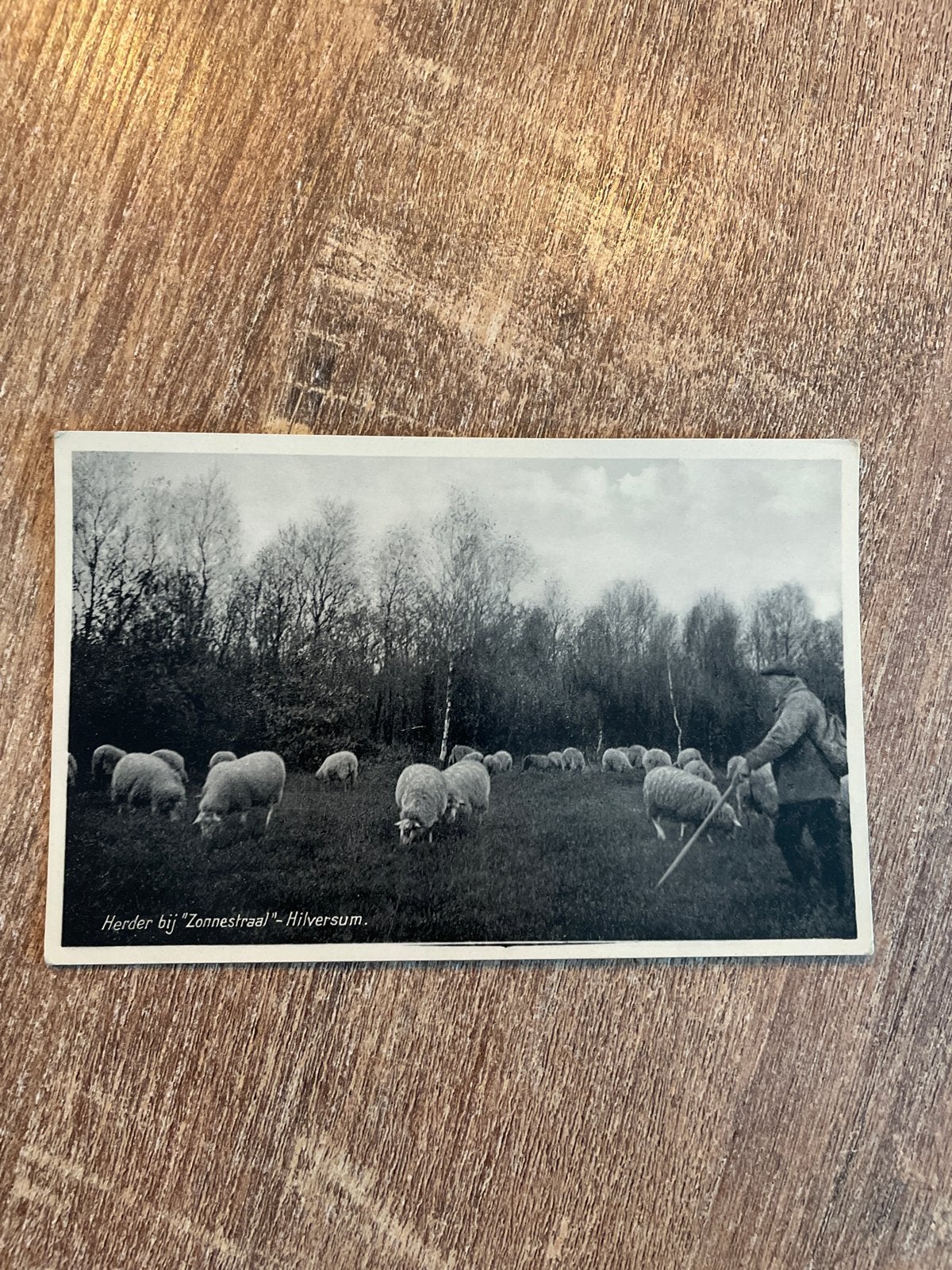Oude ansichtkaart Herder bij Zonnestraal Hilversum, Ophalen of Verzenden, Ongelopen, Noord-Holland