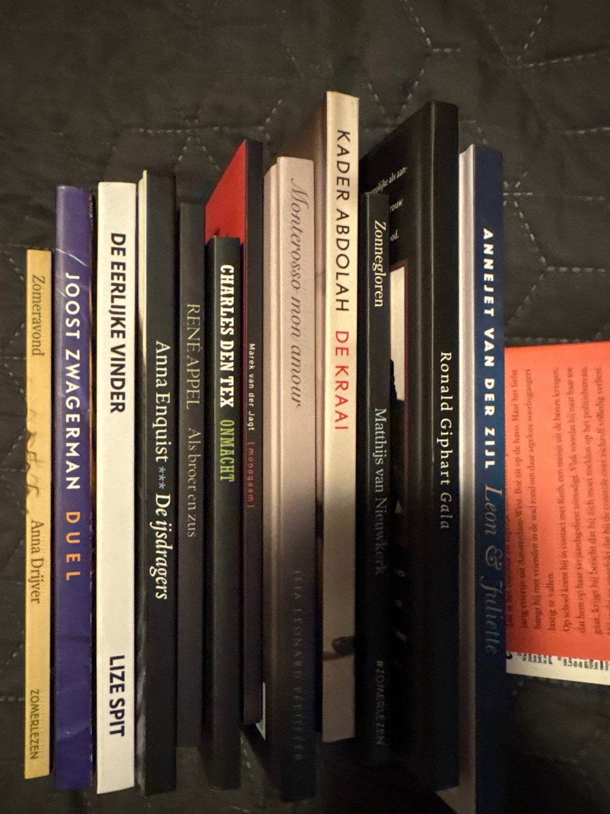 Stapel Boekenweekgeschenken - Diverse Auteurs, Boeken, Boekenweekgeschenken, Ophalen, Gelezen