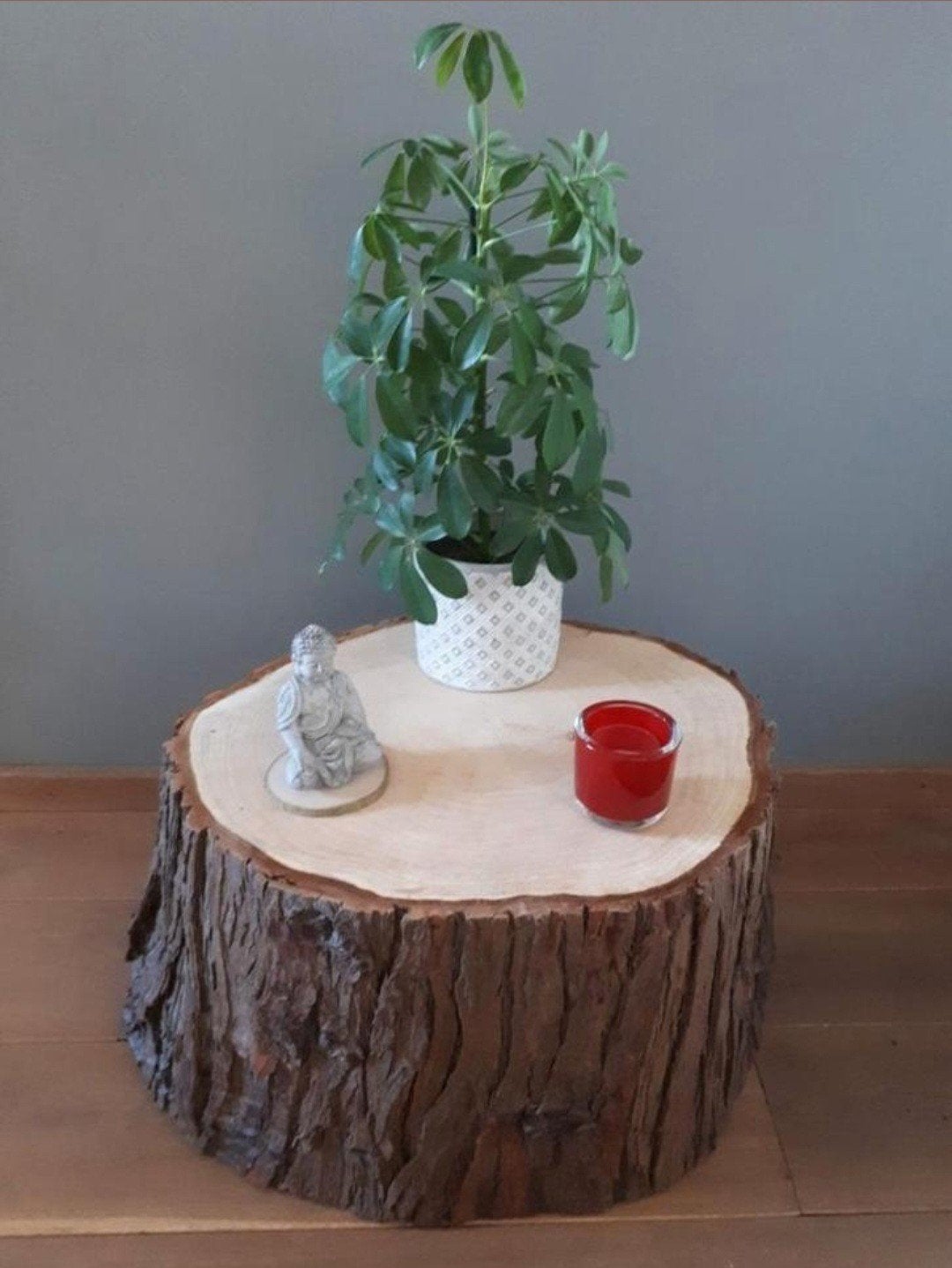 🪵BOOMSTAM LARIKSHOUT BIJZETTAFEL SALONTAFEL PLANTENTAFEL, Ophalen